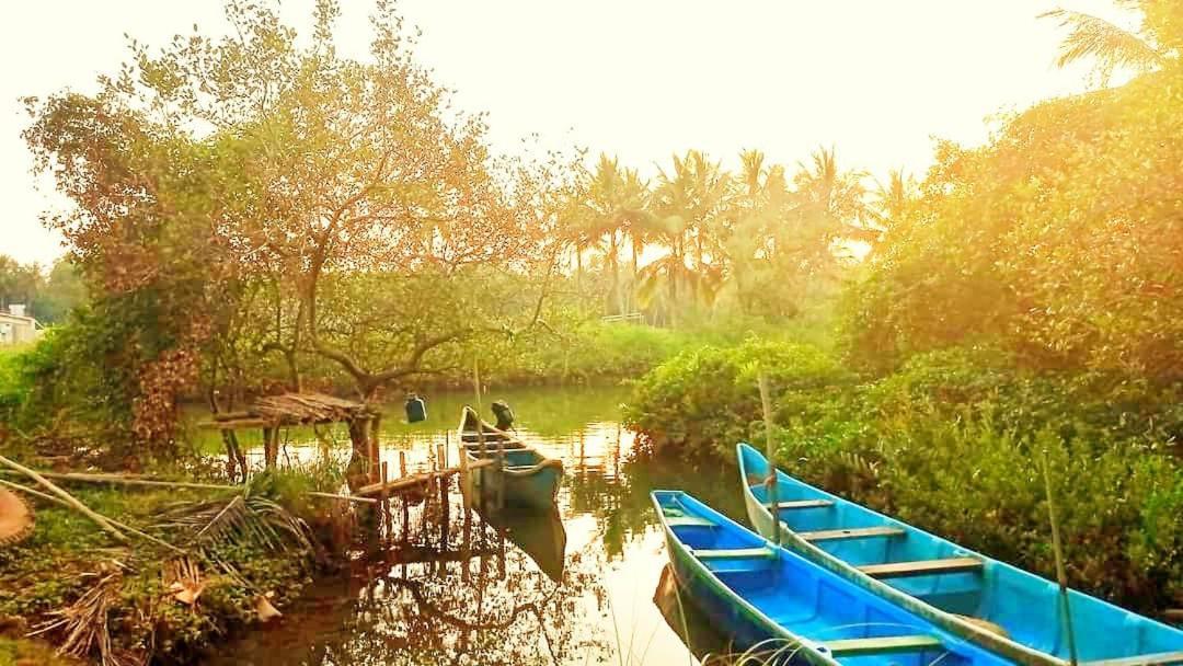 Shruthi'S Aarohi-Nature'S Retreat Mulappilangād Exterior foto
