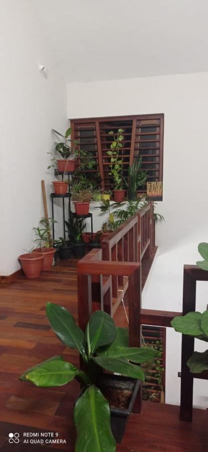Shruthi'S Aarohi-Nature'S Retreat Mulappilangād Exterior foto